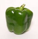 Bell Pepper